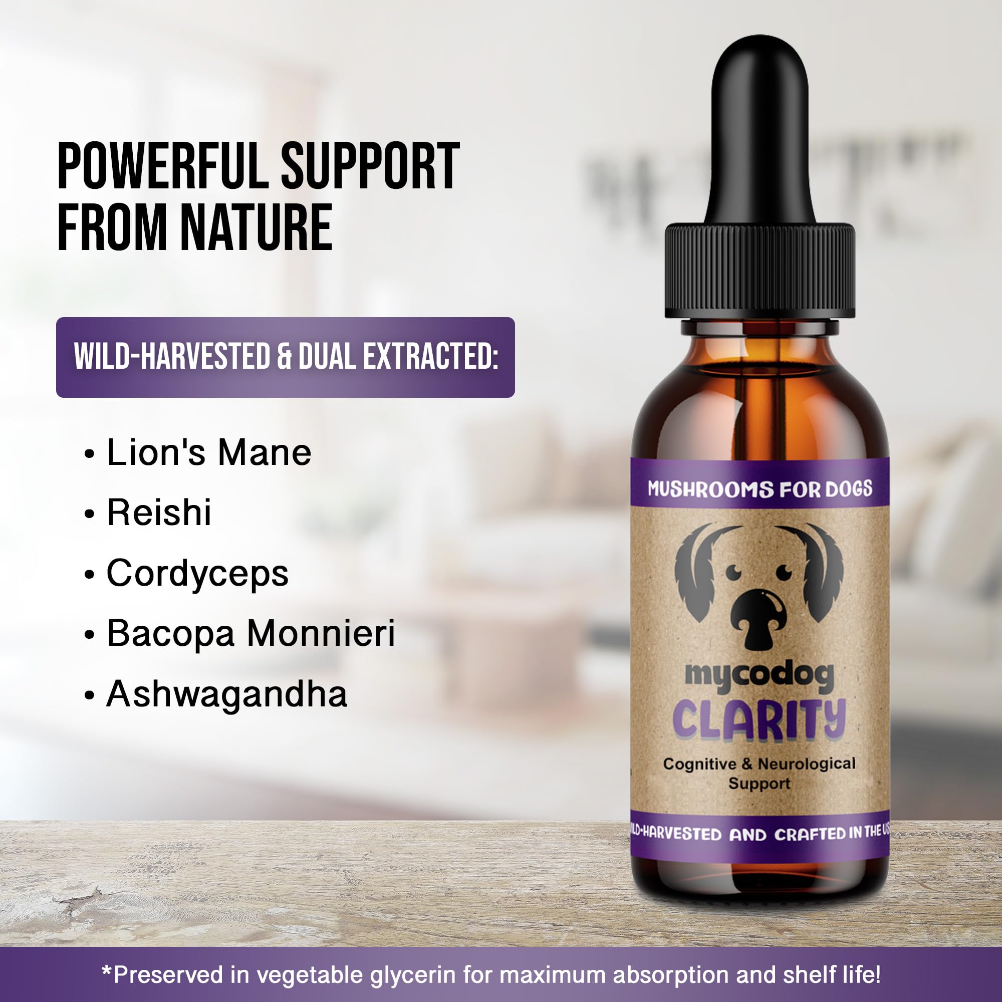 MycoDog Clarity - adaptogènes naturels favorisant l'équilibre nerveux.