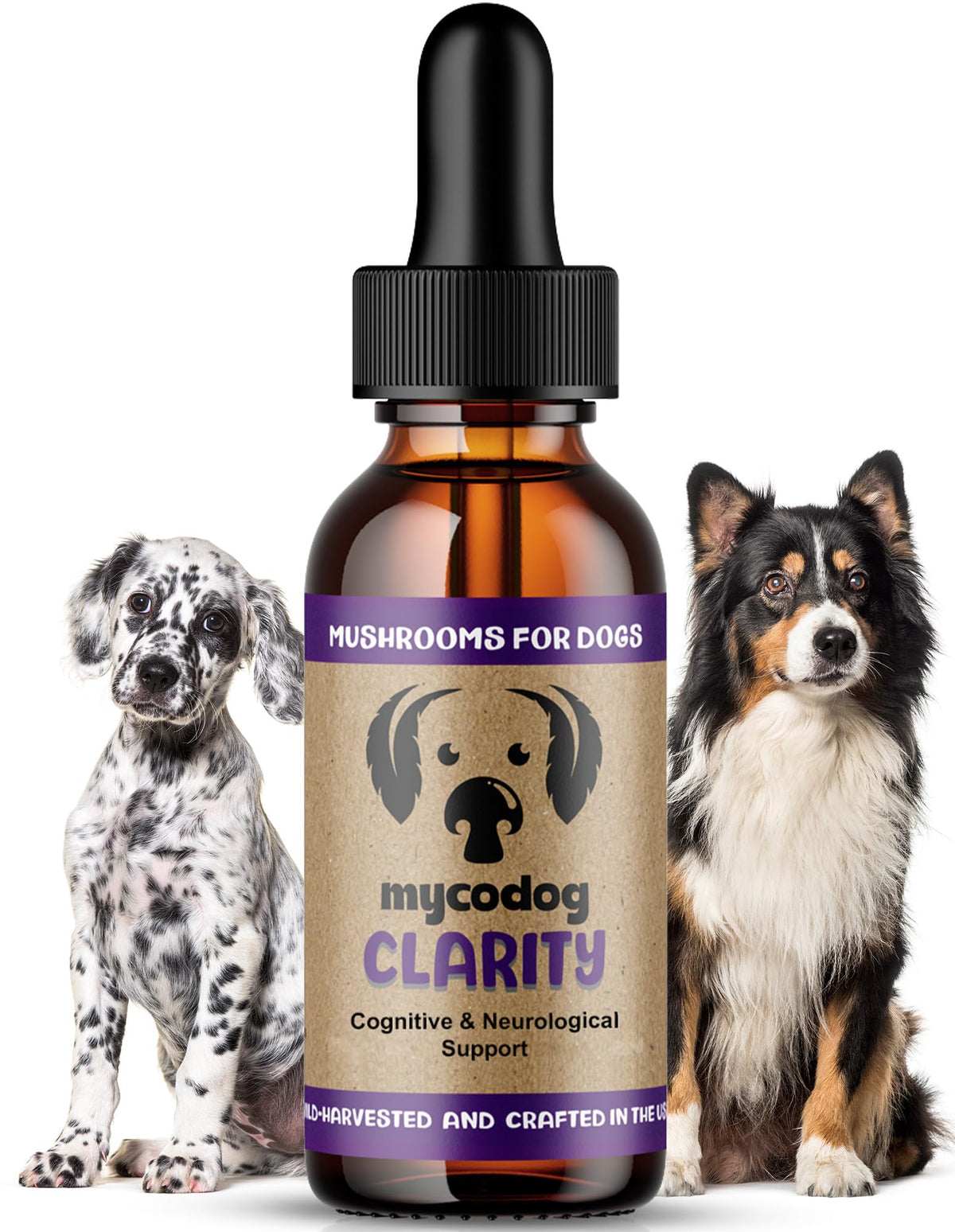 MycoDog Clarity - bouteille montrant le complément naturel pour le soutien cognitif canin.