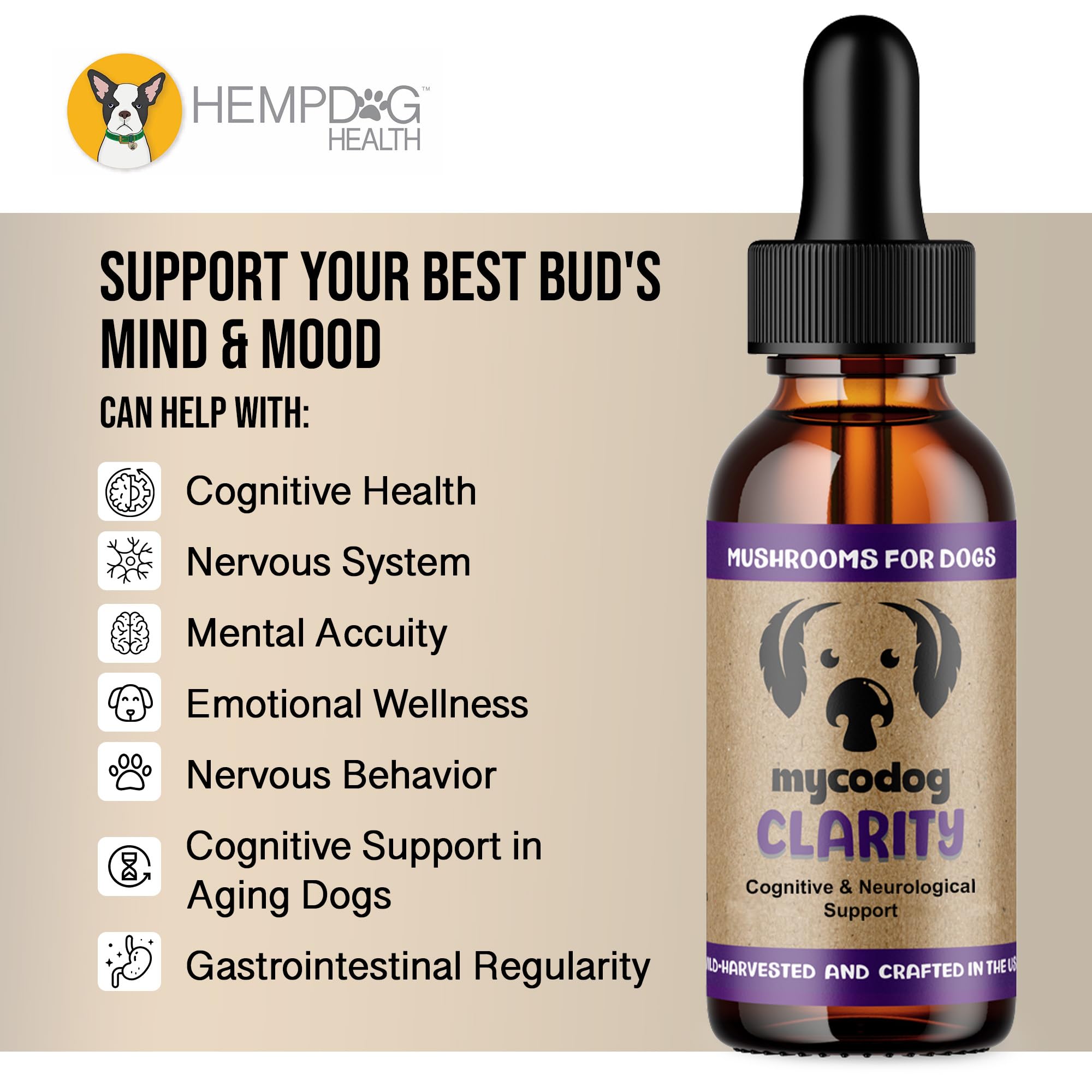 MycoDog Clarity - ingrédients à base de champignons fonctionnels pour clarté mentale.