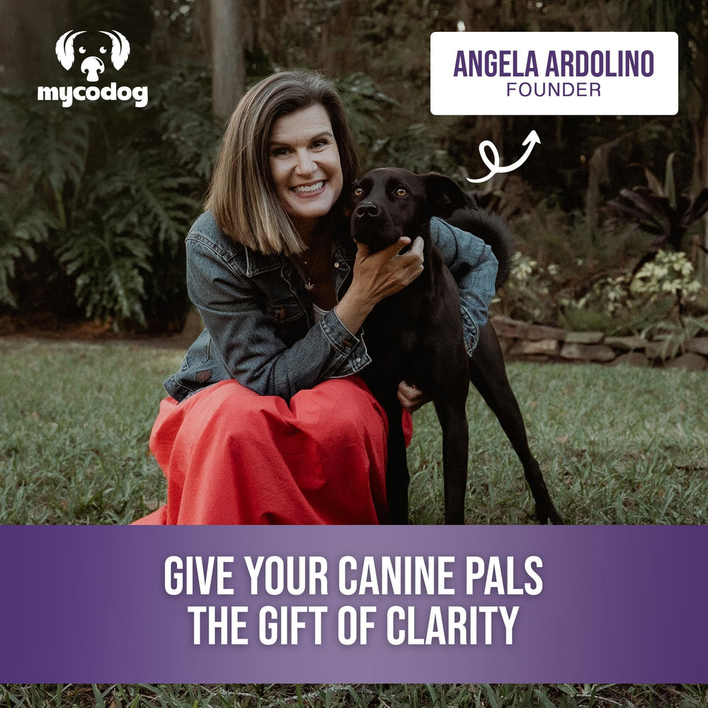 MycoDog Clarity - utilisation quotidienne simple pour le bien-être canin.