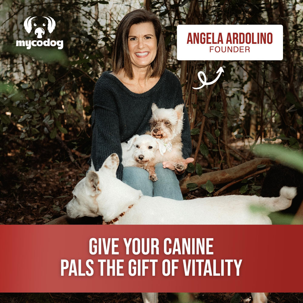 MycoDog Vitalité – application quotidienne facile pour soutenir le bien-être animal.
