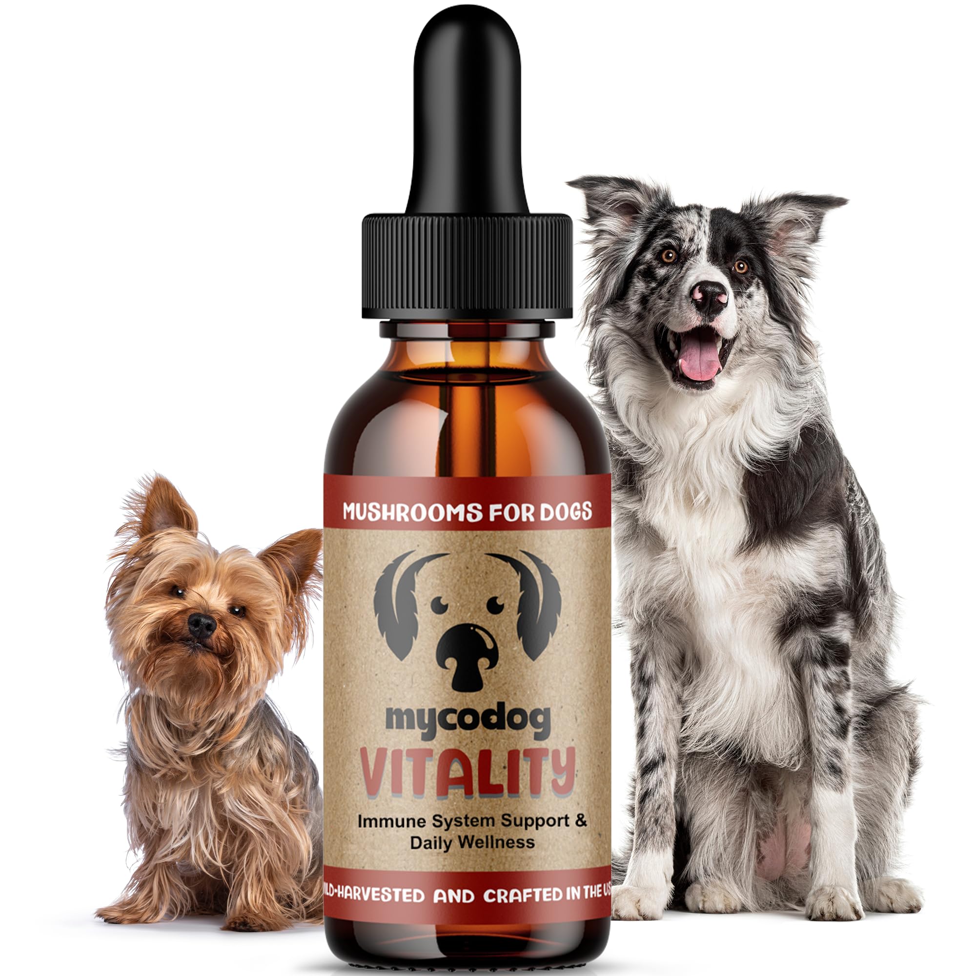 MycoDog Vitalité – bouteille-doseur pour doser facilement le complément canin.