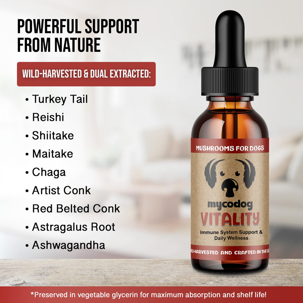 MycoDog Vitalité – emballage boîte, guide d'utilisation fiable.