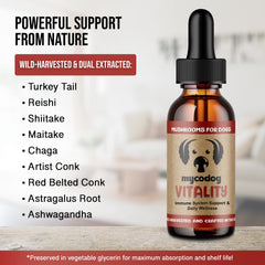 MycoDog Vitalité – emballage boîte, guide d'utilisation fiable.