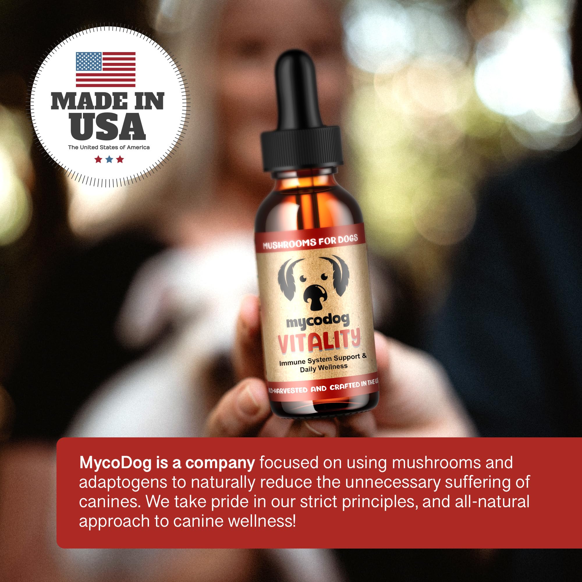 MycoDog Vitalité – logo de la marque, gage de qualité et traçabilité.
