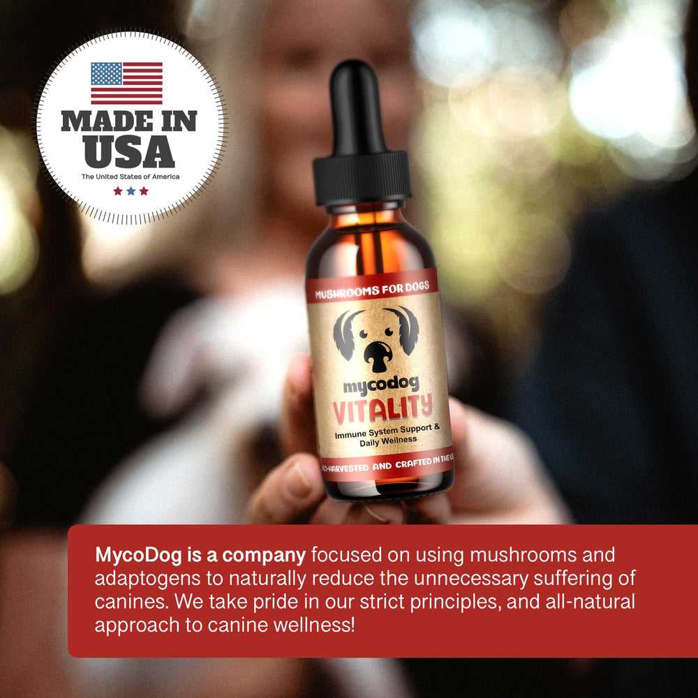 MycoDog Vitalité – logo de la marque, gage de qualité et traçabilité.