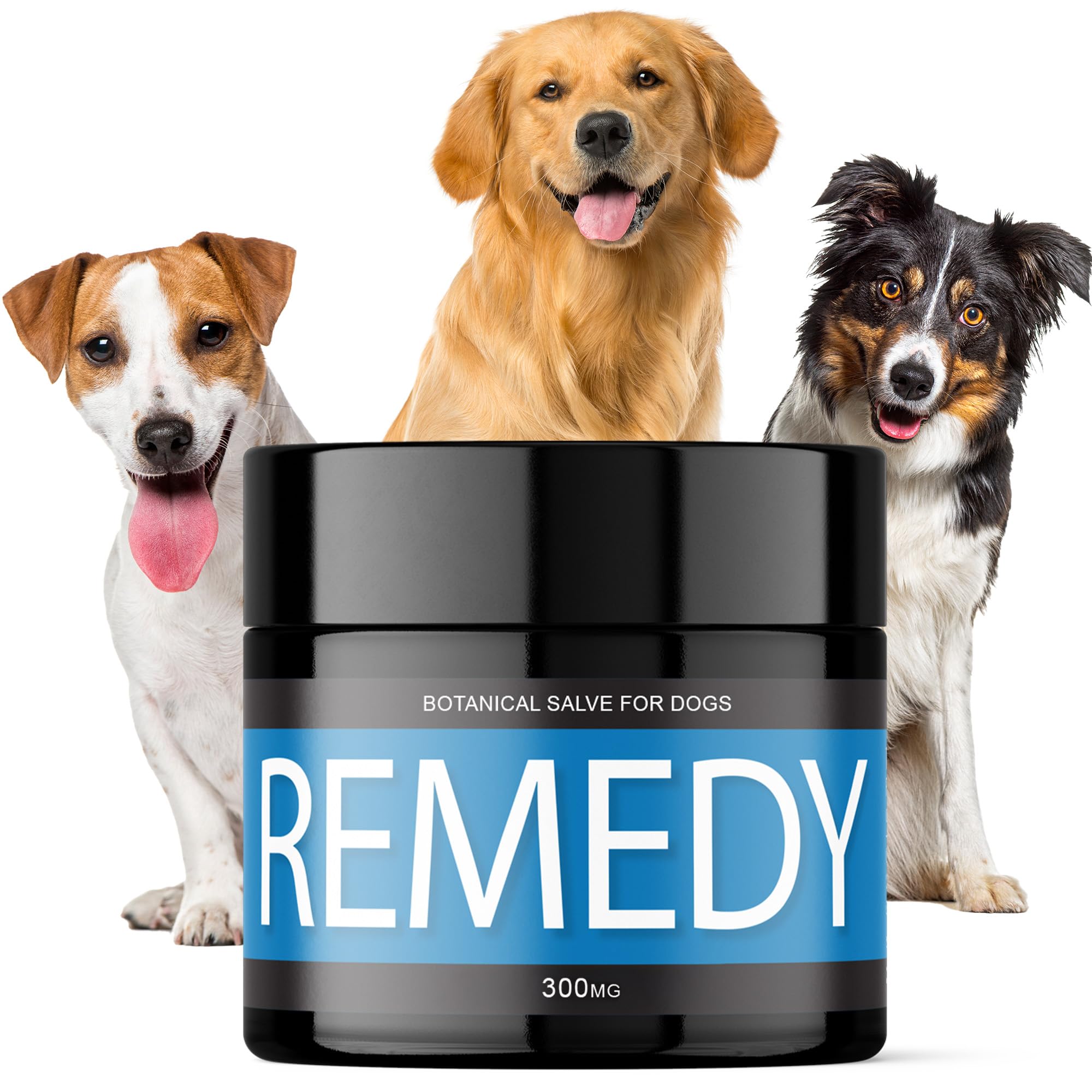 Hemp Dog Health Remède: le baume pour chiens prêt à l’emploi et facile à appliquer