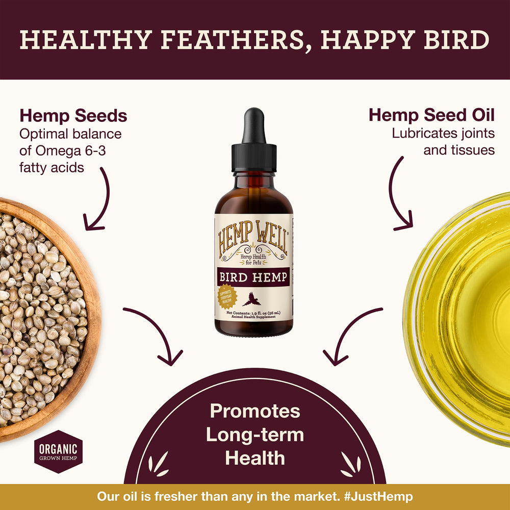 Application orale de Hemp Well Bird Oil pour compléments nutritionnels.
