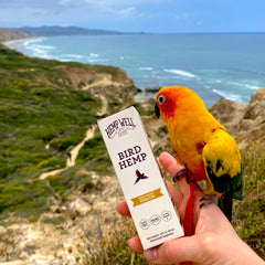 Texture huile Hemp Well pour nourrir peau et plumage.
