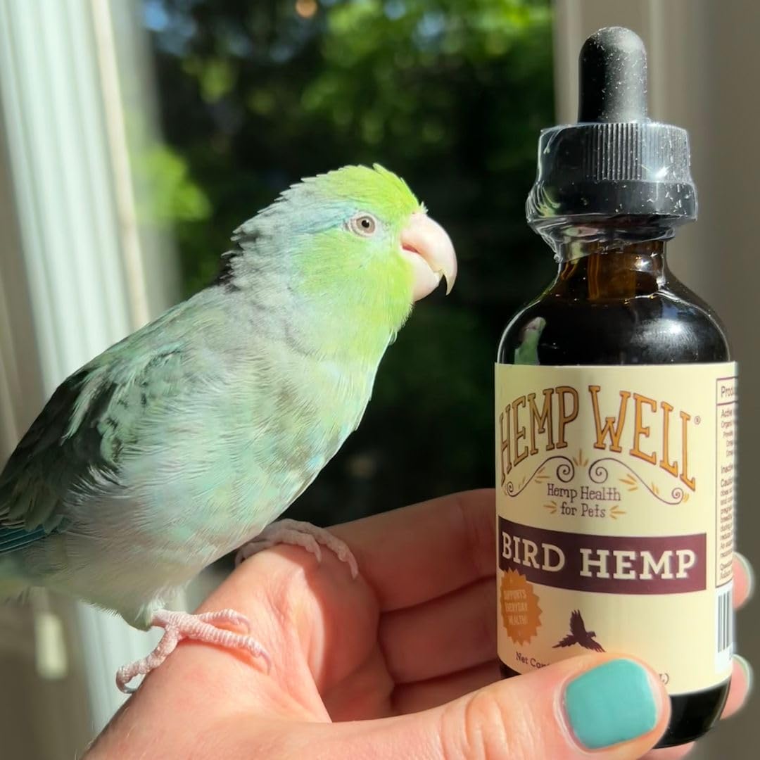 Soutien immunitaire des oiseaux avec Hemp Well Bird Oil et acides gras.