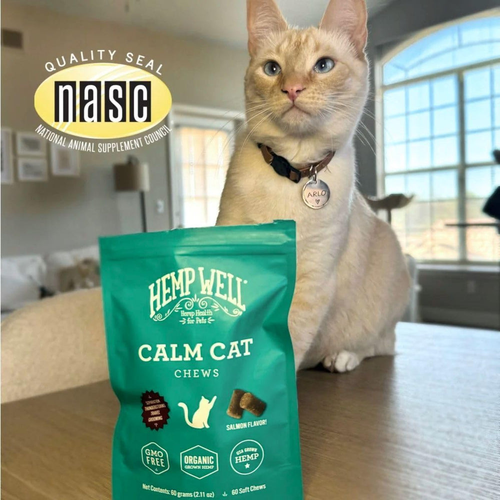 Hemp Well Calm Cat Soft Chews utilisation facile – intégrable à la routine quotidienne.