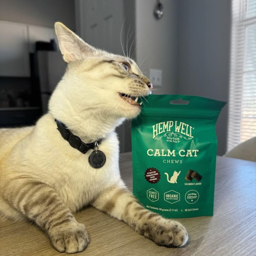 Hemp Well Calm Cat Soft Chews voyage – soutiennent le calme lors des déplacements.
