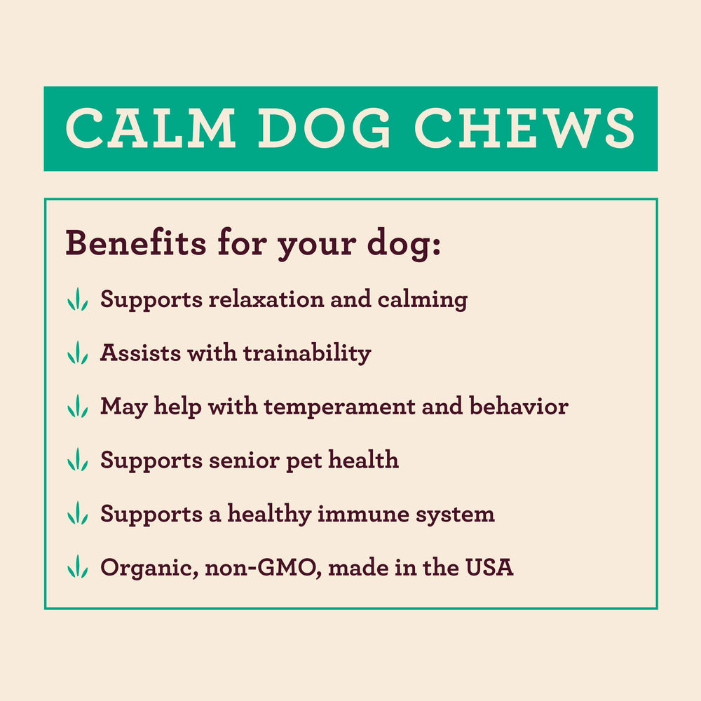 Couvercle ouvert dévoilant des friandises, Hemp Well Calm Dog montre la texture molle.