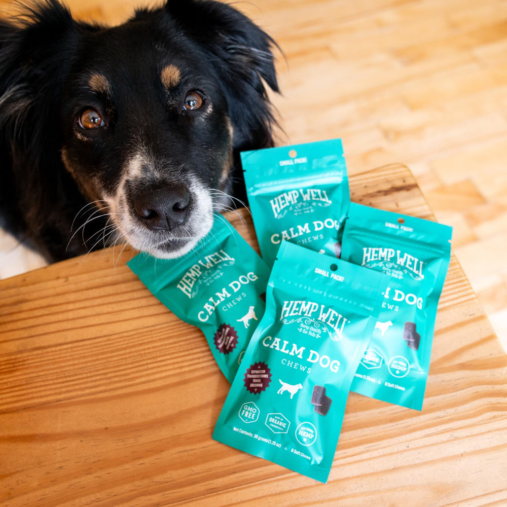 Emballage recyclable avec Hemp Well Calm Dog, option naturelle pour le stress quotidien.