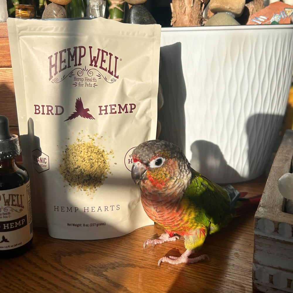 Effet calmant éventuel pour les oiseaux grâce aux acides gras Hemp Well.