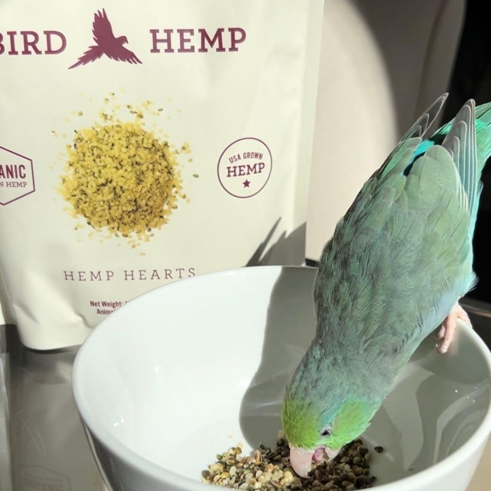 Hemp Well chanvre cultivé aux États‑Unis, sans OGM