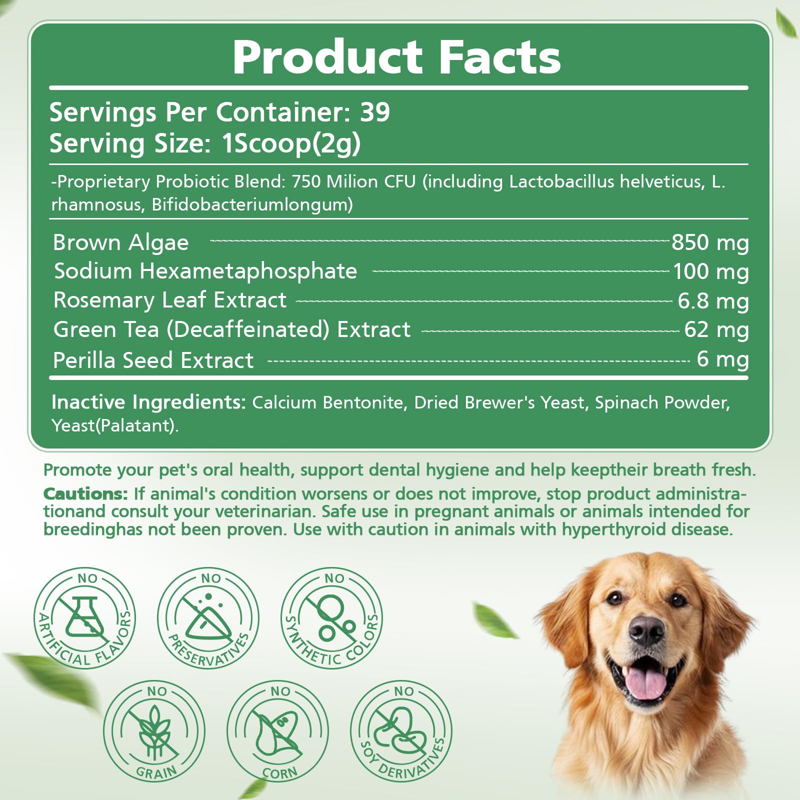 Hemyum Poudre Dentaire Chien — application facile pour votre compagnon.