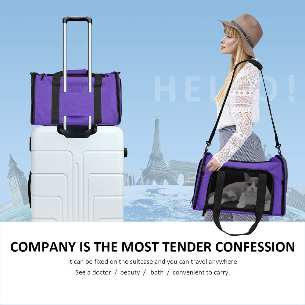 Dessin violet Henkelion, design moderne pour transports quotidiens.
