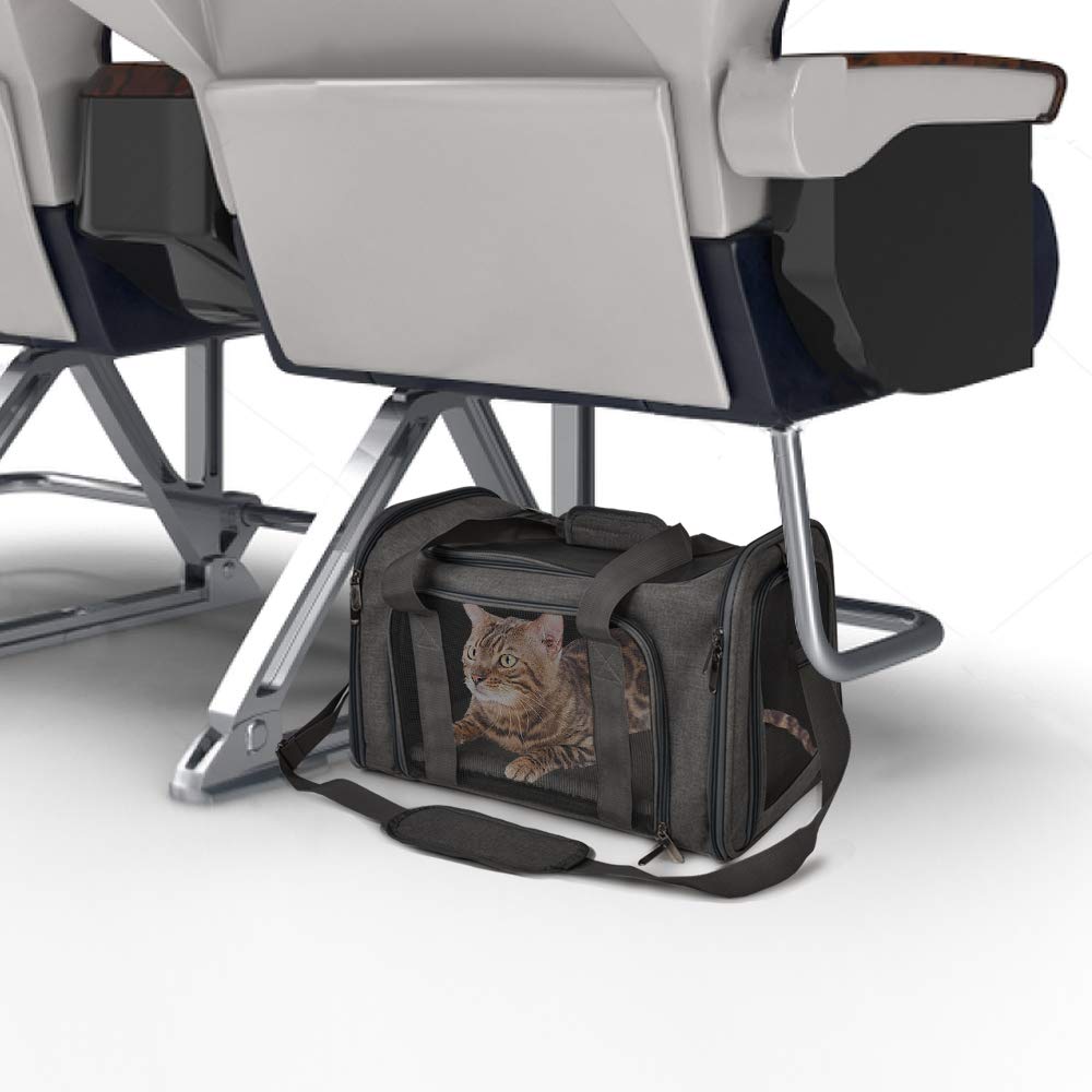 Henkelion porte-pliante compacte prête à être rangée après voyage