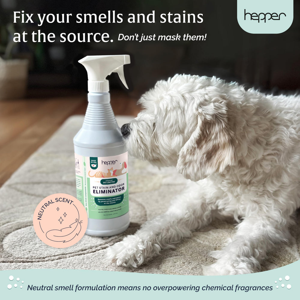 Hepper Advanced Bio-Enzyme application rapide sans frottage