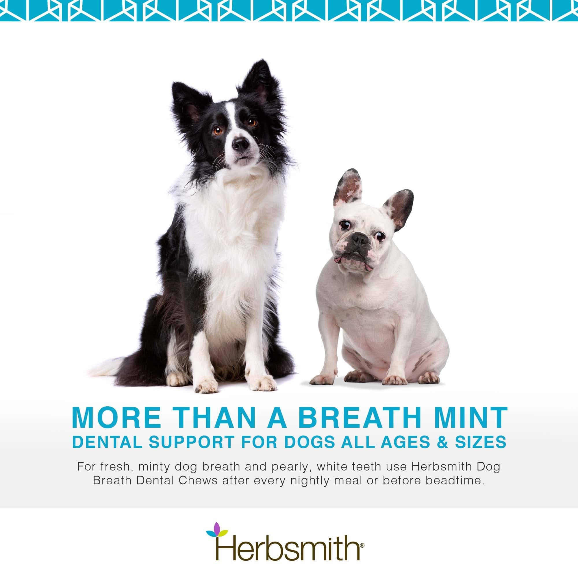 Herbsmith Dog Breath — goût menthe frais: parfum agréable pour le palais des chiens.
