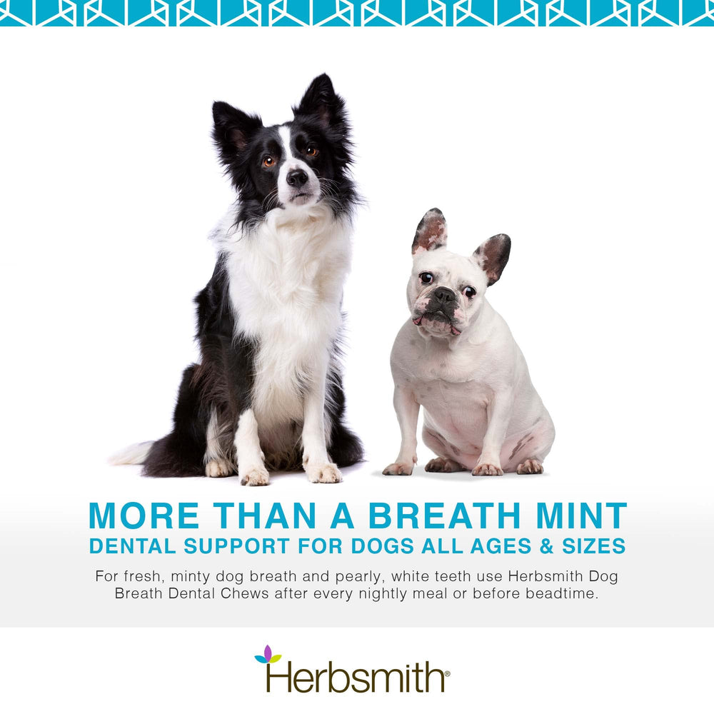Herbsmith Dog Breath — goût menthe frais: parfum agréable pour le palais des chiens.