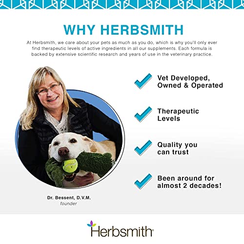 Herbsmith Dog Breath — idéal pour chiens seniors: options adaptées aux dents délicates.