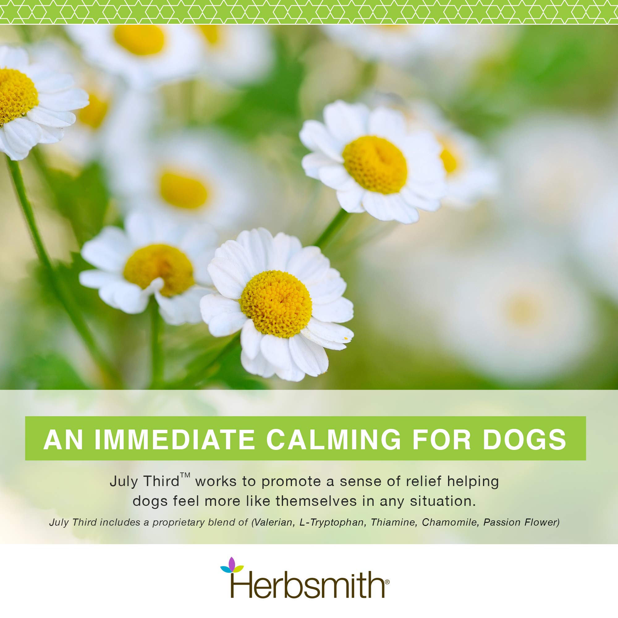 Herbsmith Juillet Troisième: ingrédients naturels pour le confort du chien.