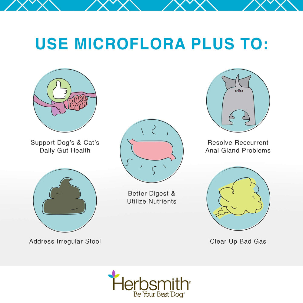 Herbsmith Microflora Plus — probiotiques et prébiotiques pour l’équilibre intestinal.