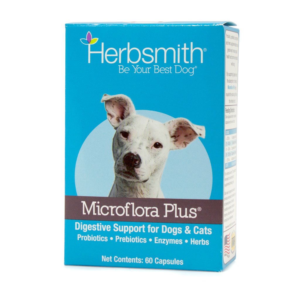 Herbsmith Microflora Plus – bouteille de capsules, soutien digestif quotidien pour chiens.