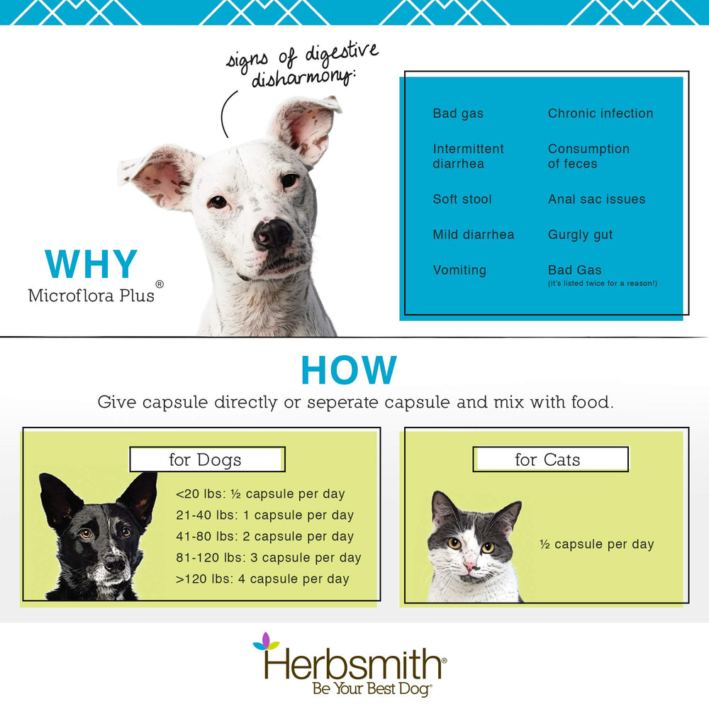 Herbsmith Microflora Plus – étiquette et démonstration du produit sur la photo.