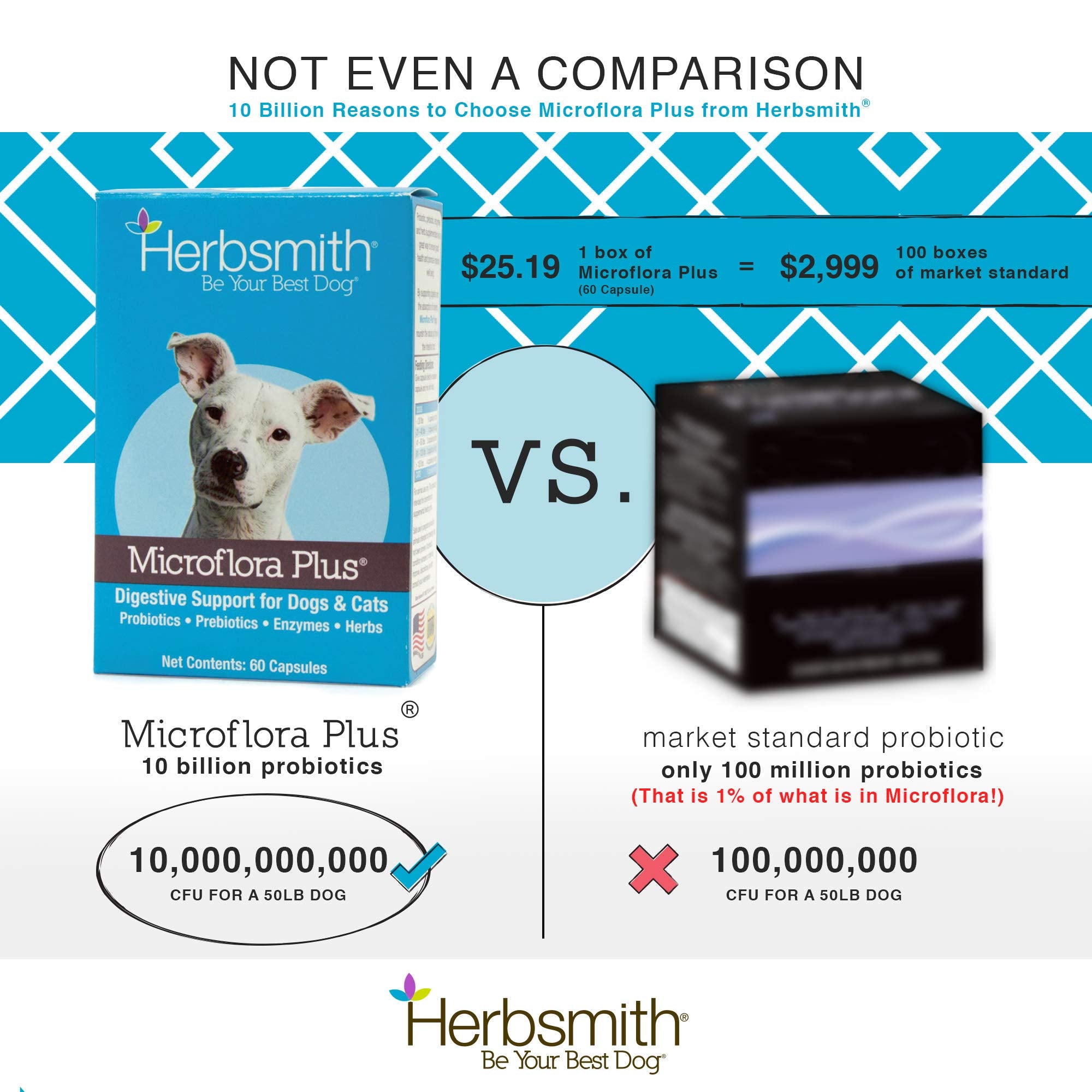 Herbsmith Microflora Plus — dosage quotidien recommandé pour l’absorption des nutriments.
