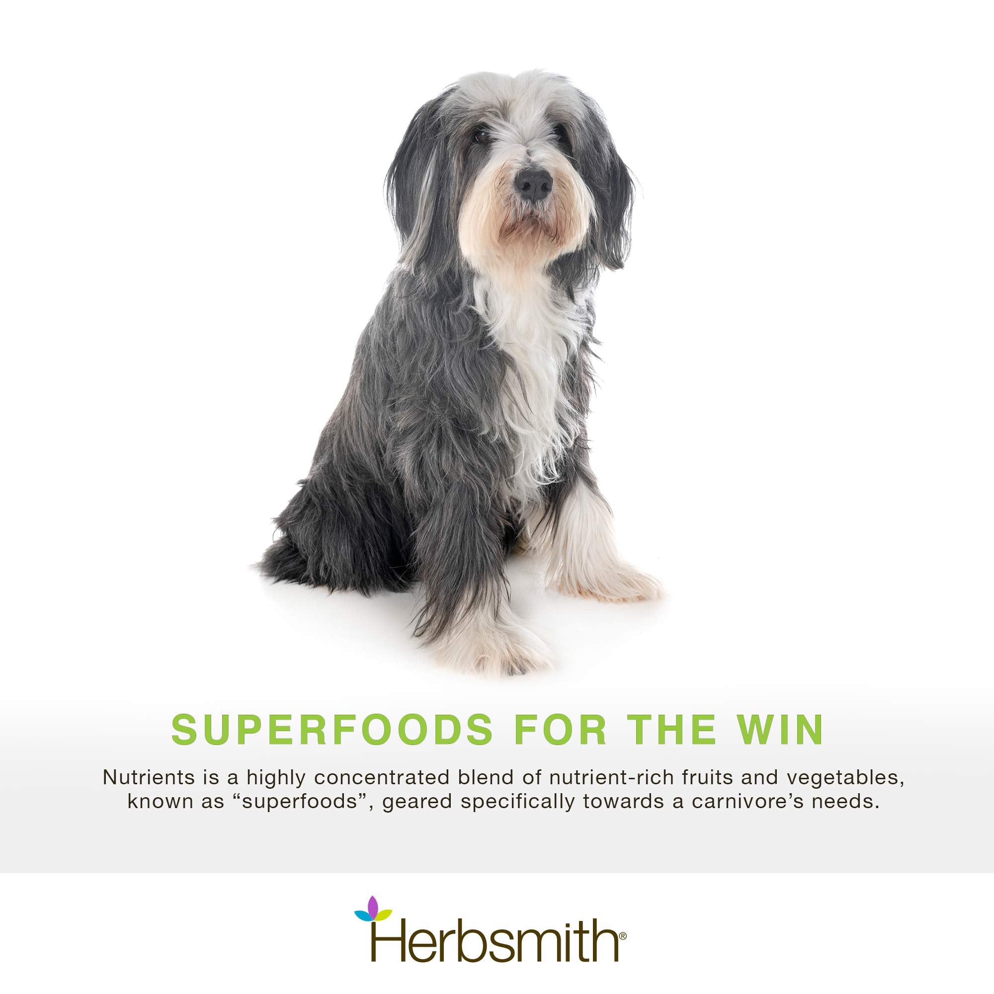 Herbsmith Nutrients – ingrédients superaliments – soutien nutritionnel optimal pour chiens.