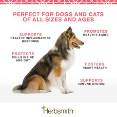 Herbsmith Pure Krill 75g — format pratique pour l’alimentation quotidienne des chiens.