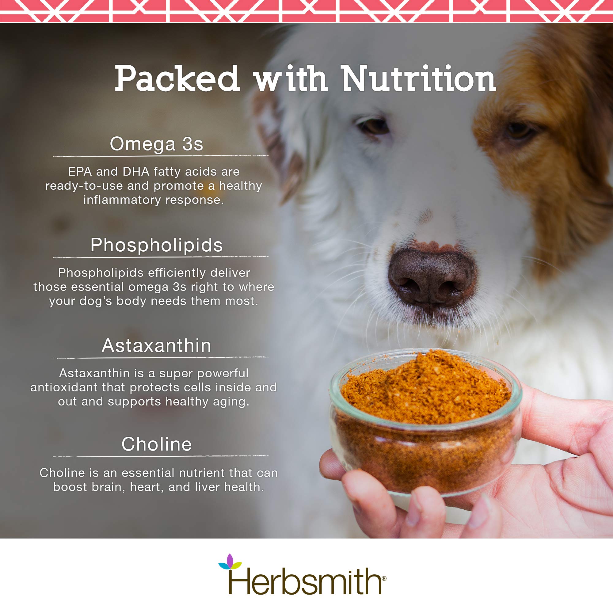 Herbsmith Pure Krill astaxanthine — antioxydant naturel pour protéger les cellules.