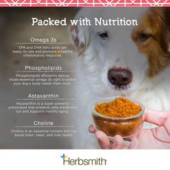 Herbsmith Pure Krill astaxanthine — antioxydant naturel pour protéger les cellules.