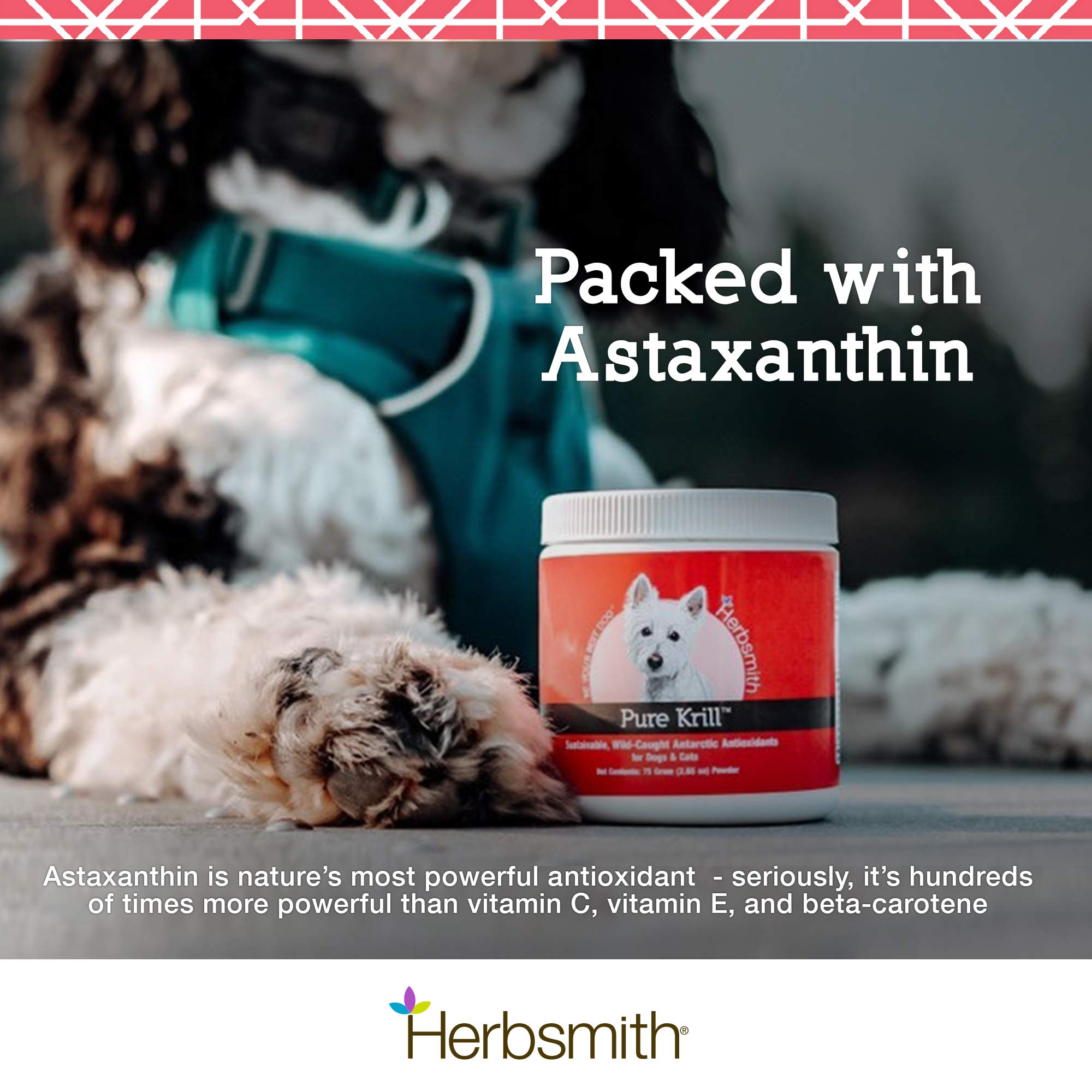 Herbsmith Pure Krill sans additifs — produit simple et pur pour chiens.