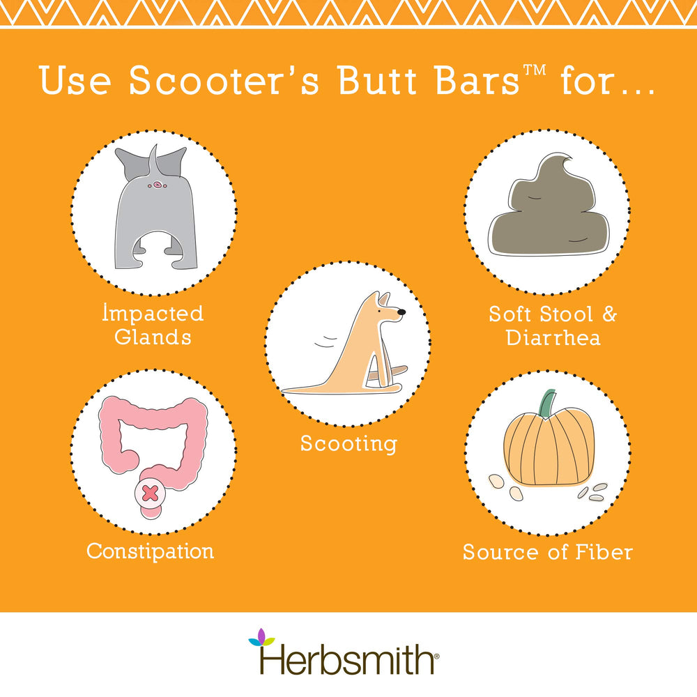 Herbsmith Scooter’s Butt Bars, barre fibre citrouille, soutien possible à la régularité des selles.