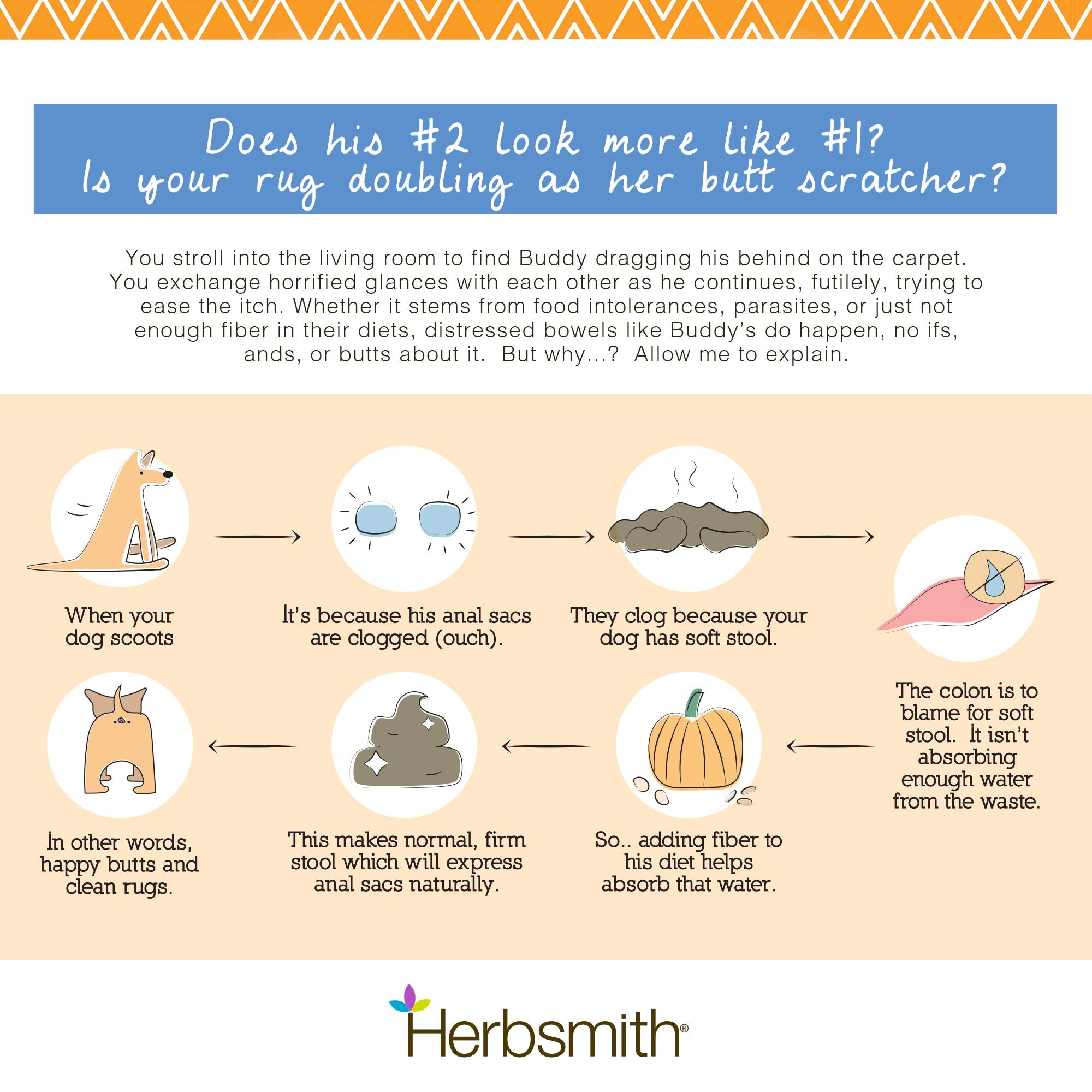 Herbsmith Scooter’s Butt Bars, barre lentilles, fibre naturelle pour selles régulières.