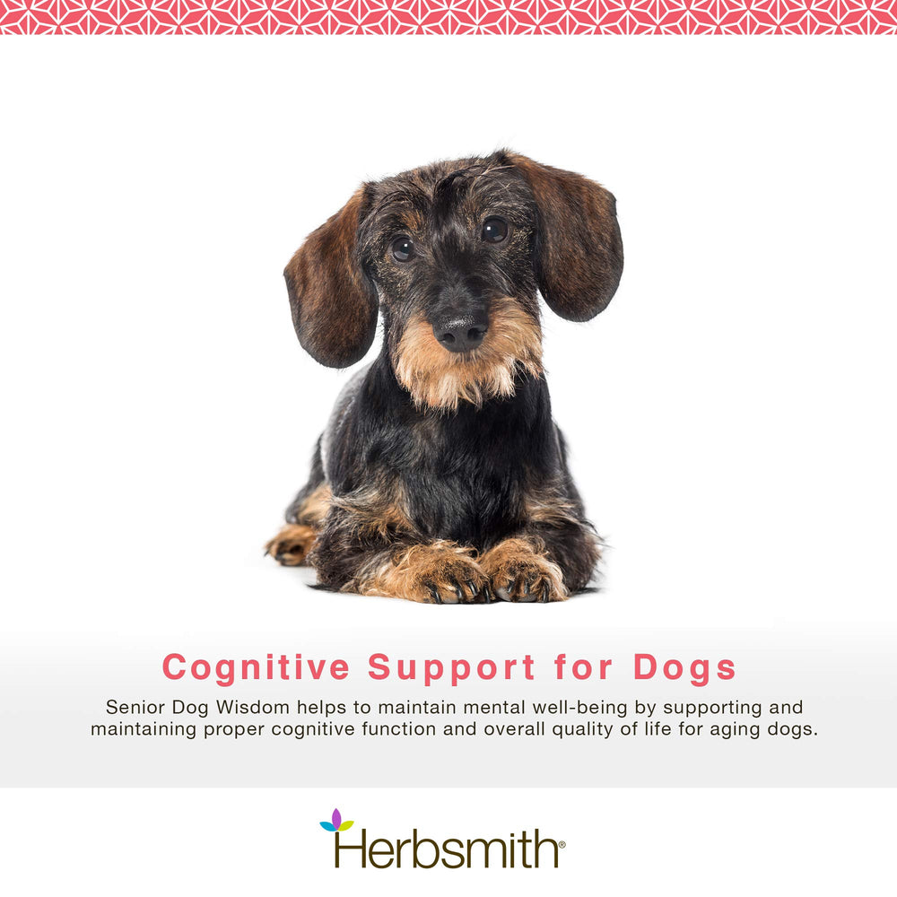 Herbsmith Senior Dog Wisdom – bouteille 60ct, format pratique à ajouter au repas.