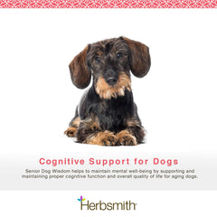 Herbsmith Senior Dog Wisdom – bouteille 60ct, format pratique à ajouter au repas.