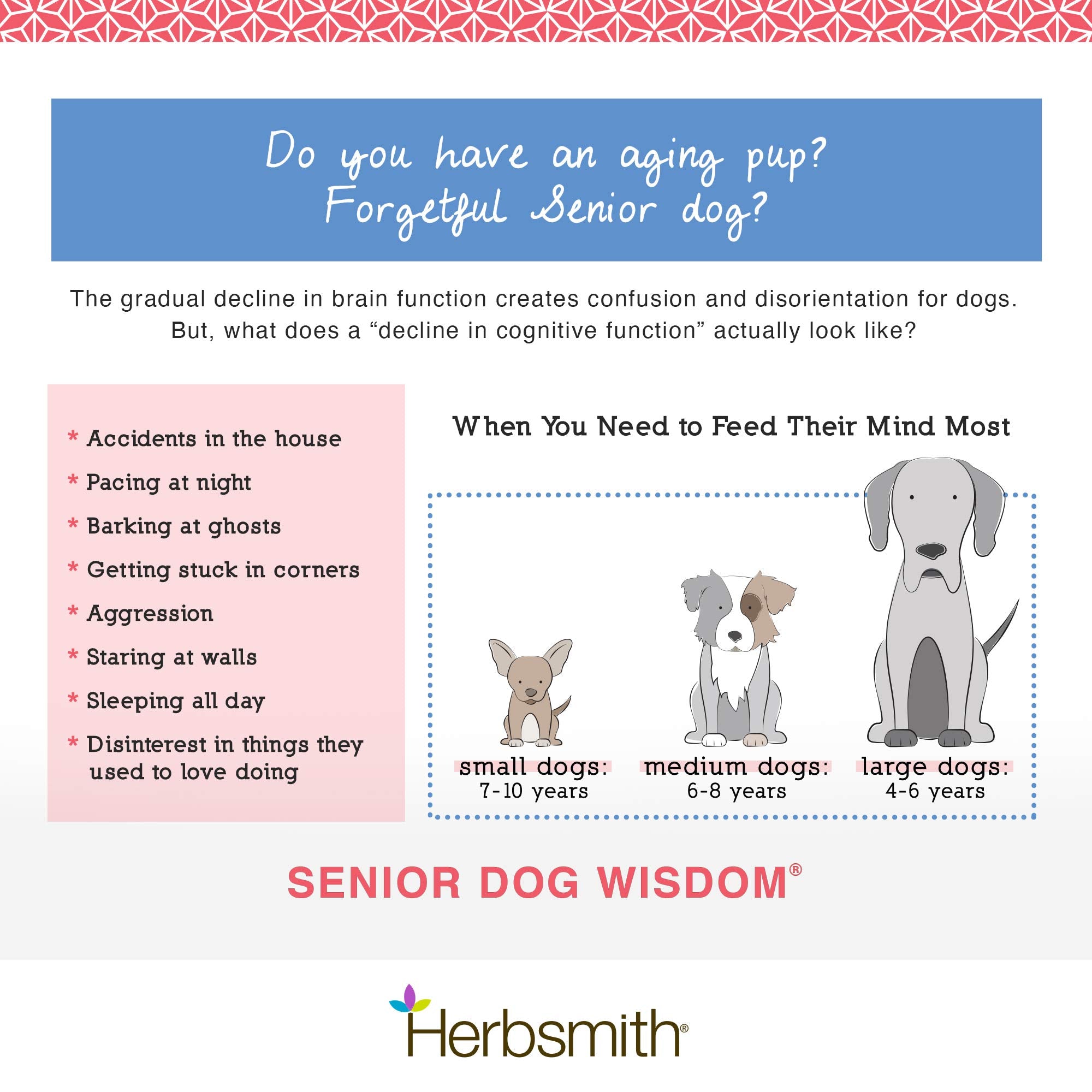 Herbsmith Senior Dog Wisdom – emballage-carton élégant, prêt à l’emploi.
