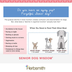 Herbsmith Senior Dog Wisdom – emballage-carton élégant, prêt à l’emploi.
