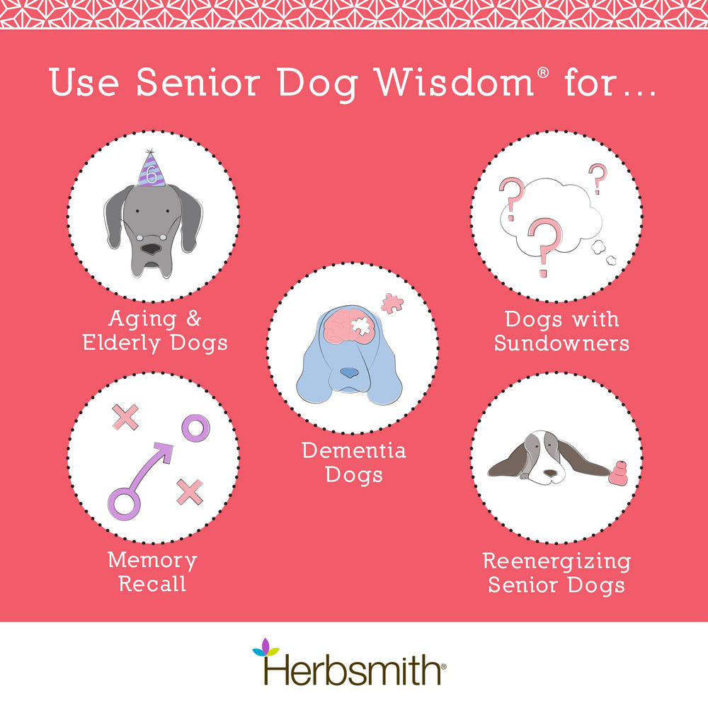 Herbsmith Senior Dog Wisdom – étiquette claire, emballage lisible facilitant l’utilisation.