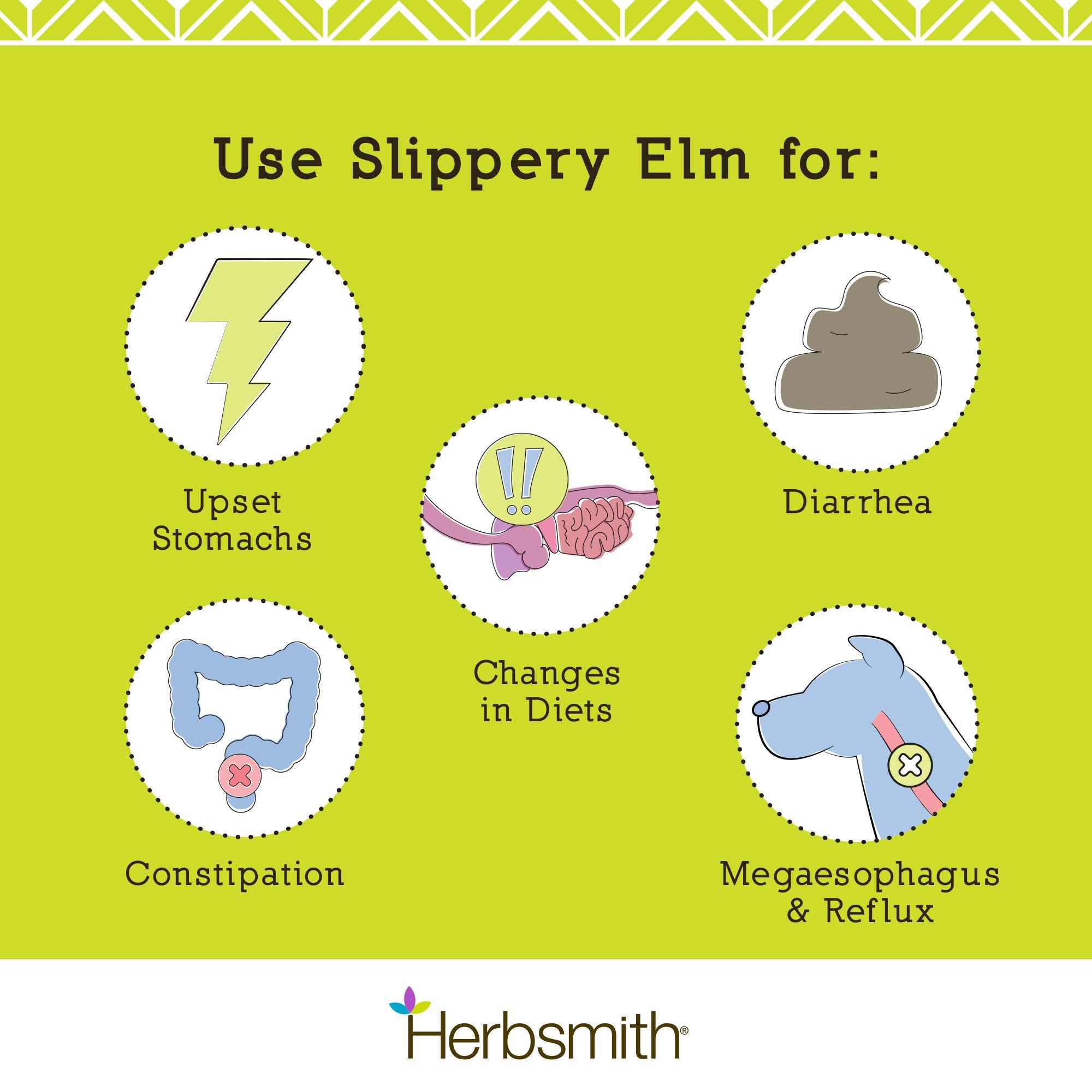 Doseur intégré pour mesurer précisément la poudre Slippery Elm.