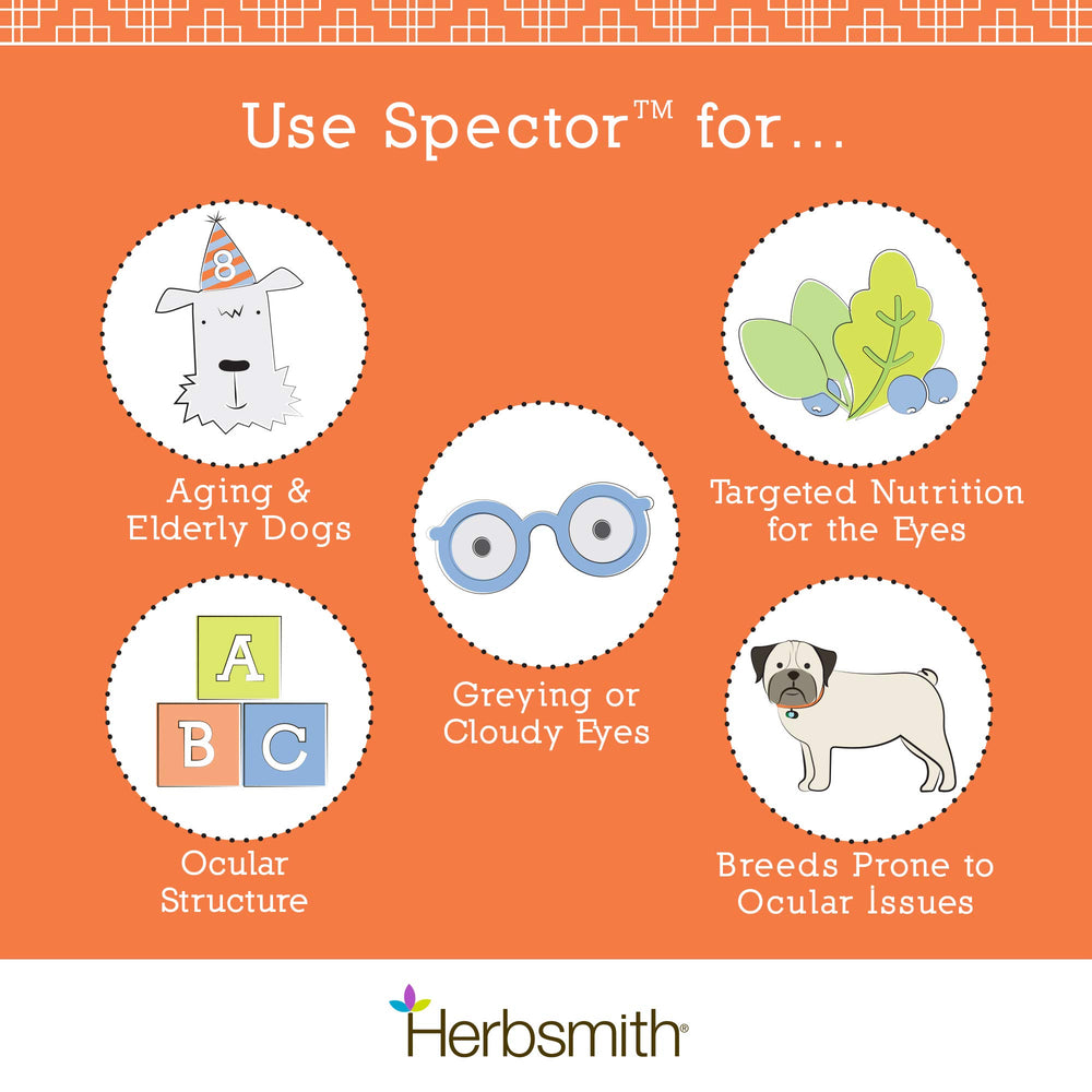 Herbsmith Spector — zinc lutéine bêta-carotène: soutien santé oculaire potentiel.