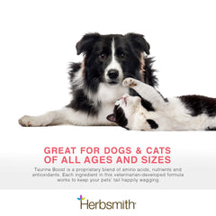 Herbsmith Taurine Boost – Contenu CoQ10 et omega-3 présent dans le produit.