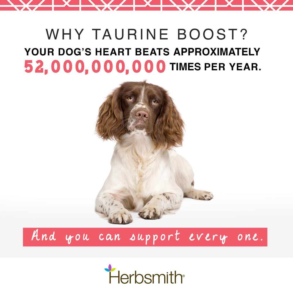 Herbsmith Taurine Boost – Étiquette montrant Taurine, L-Carnitine et CoQ10 pour le bien etre.