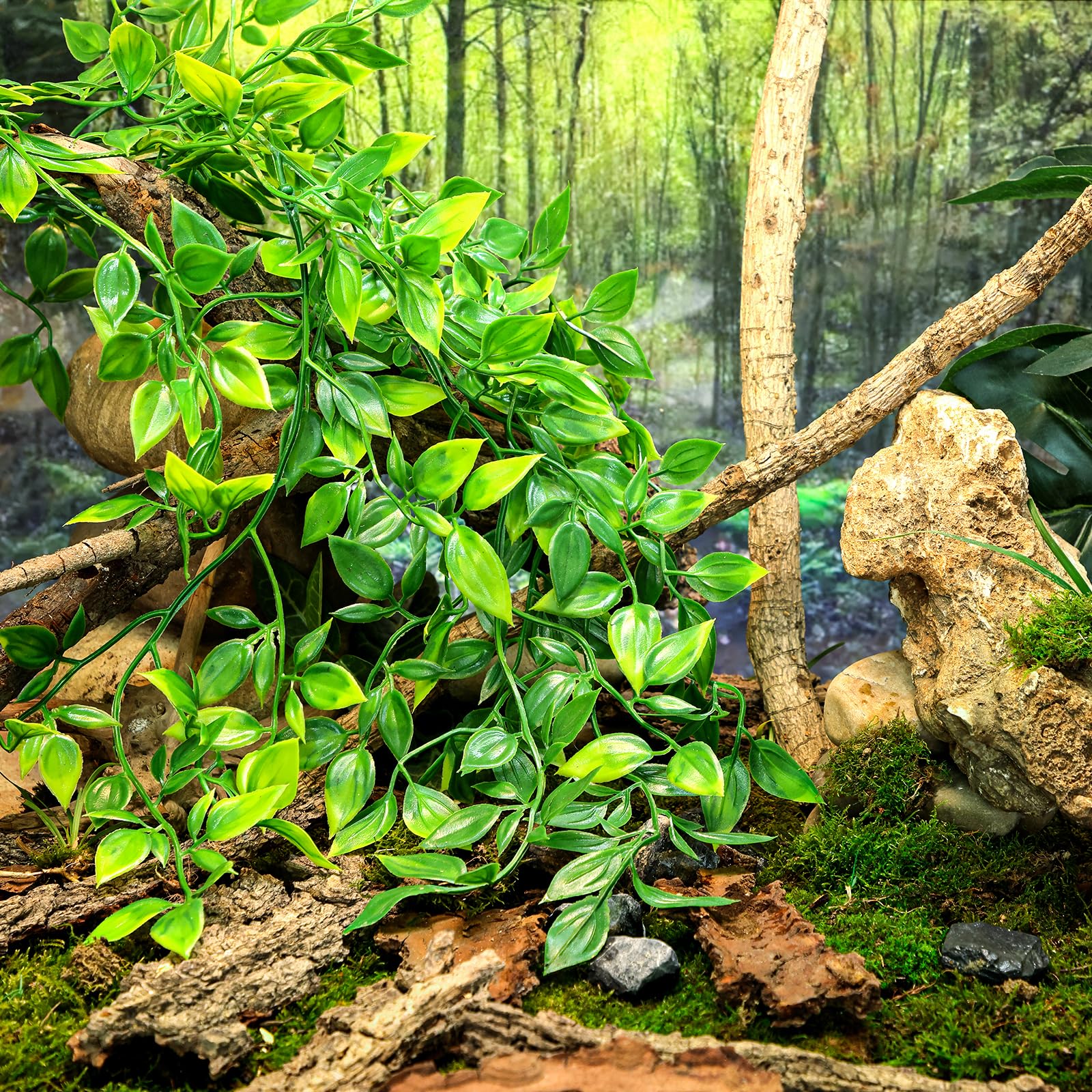 HERCOCCI: décoration d habitat reptile avec cachettes et zones de repos