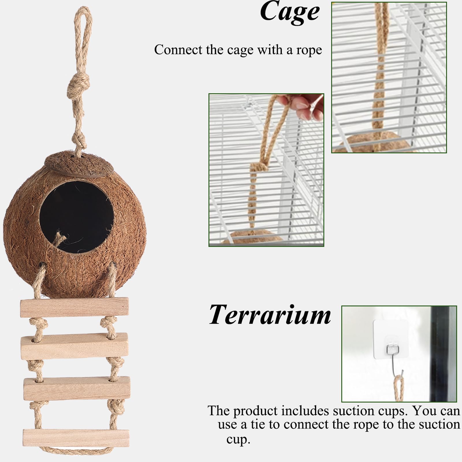 HERCOCCI Ventouse: fixation stable pour terrarium.